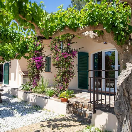 Domaine De La Navicelle Villa Le Pradet Exterior photo