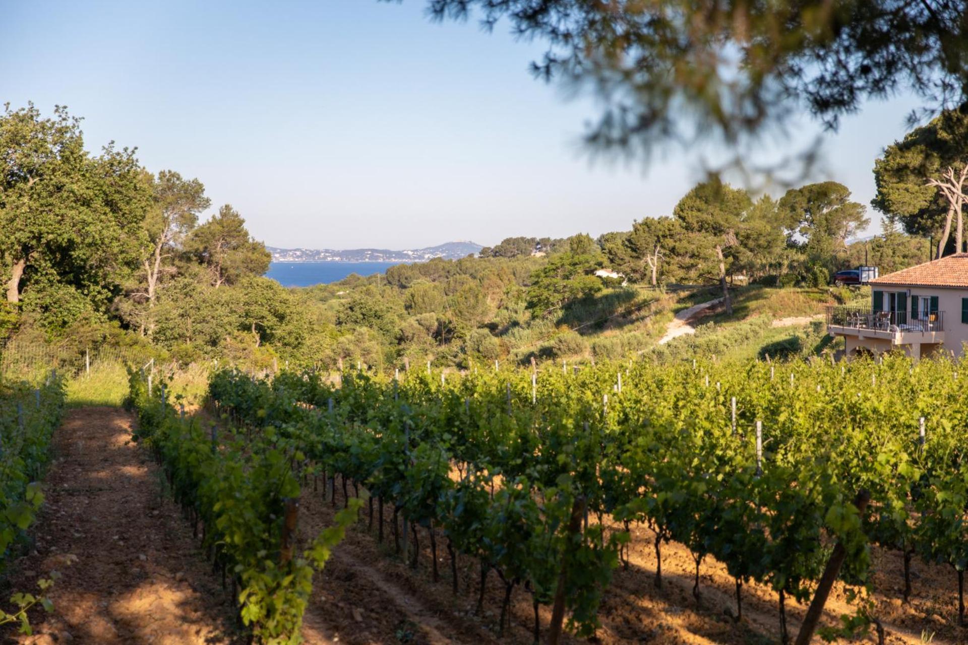 Domaine De La Navicelle *