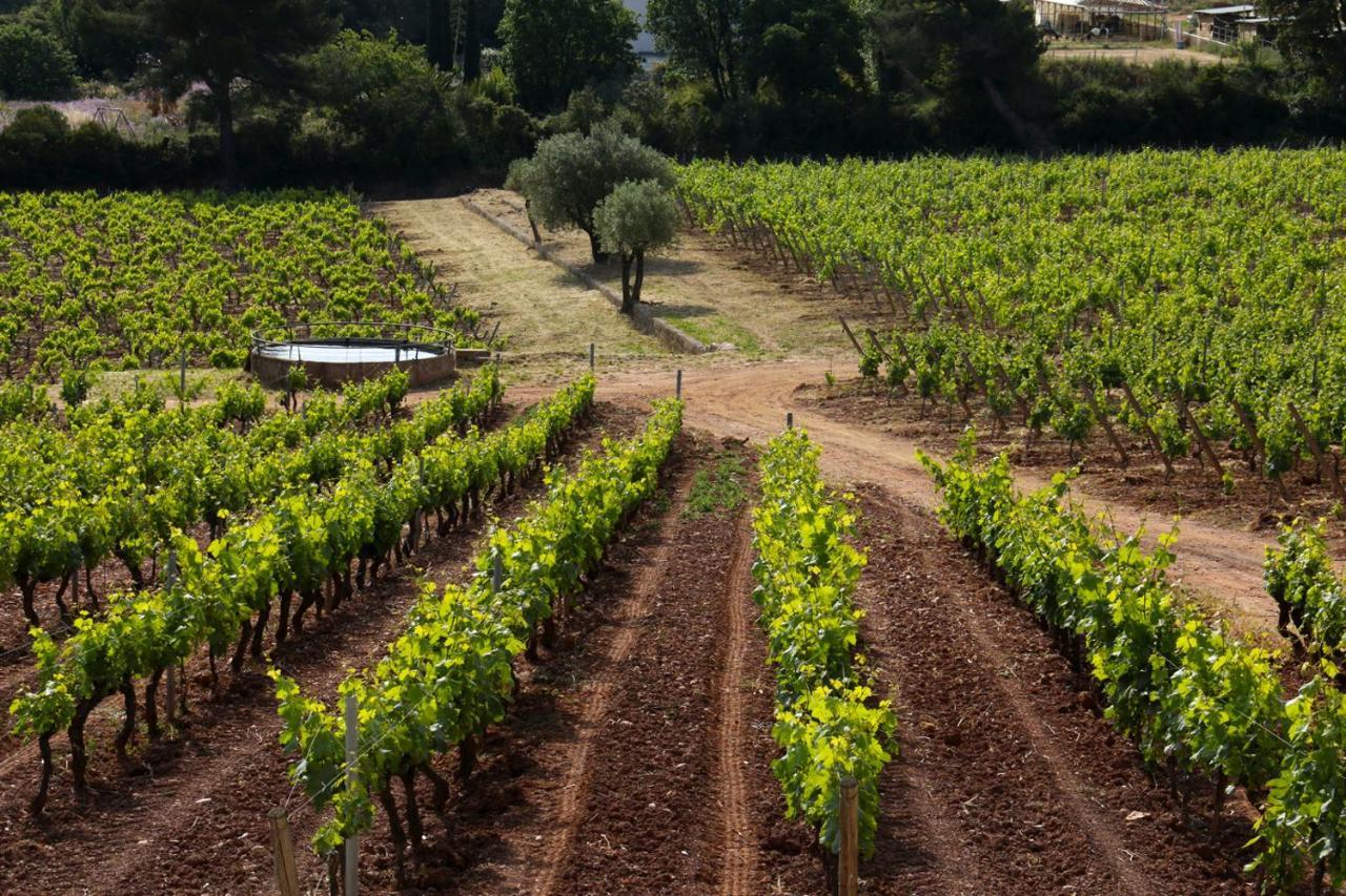 Holiday home Domaine De La Navicelle Le Pradet