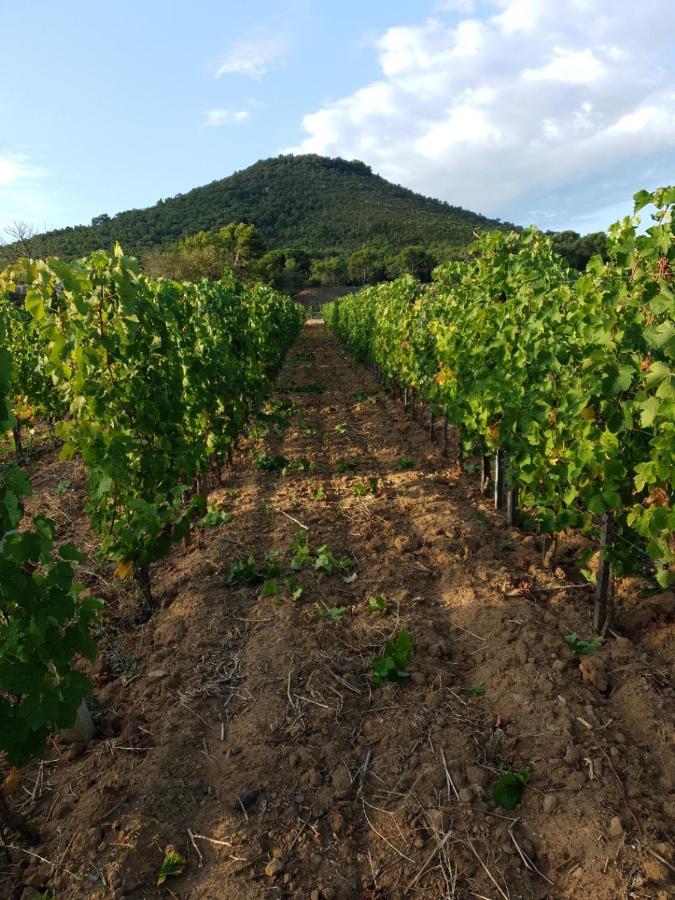 Holiday home Domaine De La Navicelle *