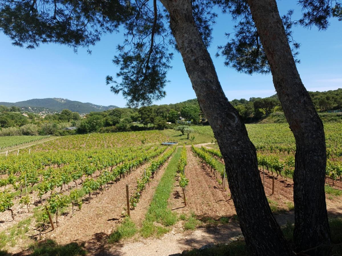 Domaine De La Navicelle Le Pradet