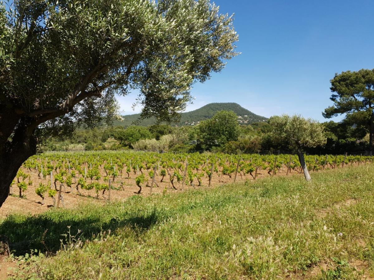 Holiday home Domaine De La Navicelle *